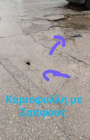 Φωτογραφία 2